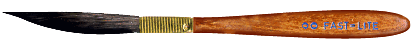 fastlite.gif (7036 bytes)