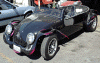 bug.gif (38127 bytes)