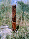 hawaiianeye.gif (86951 bytes)